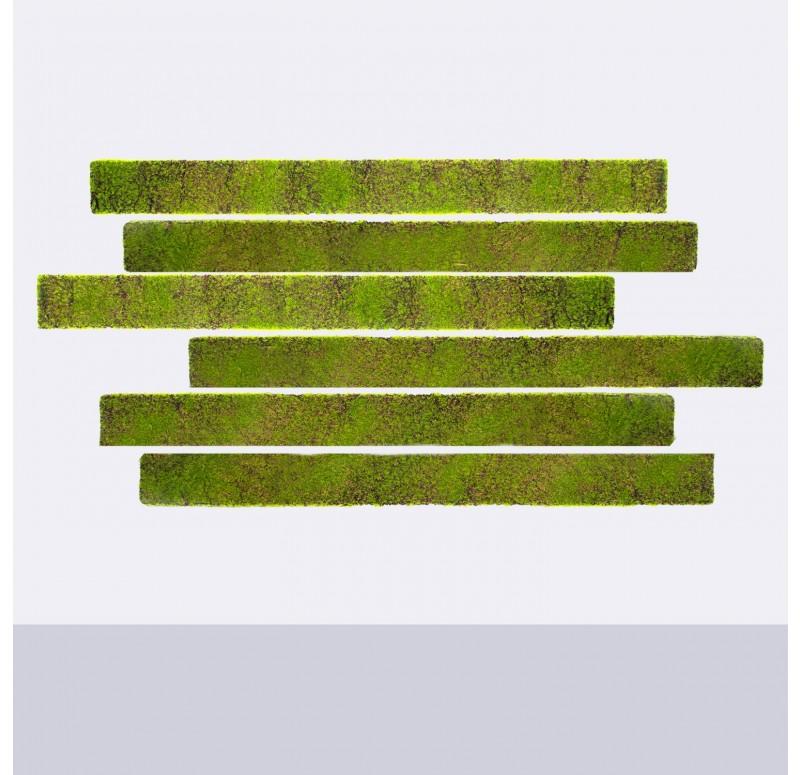 Green Wall, 'New Moss', Strip by Gold Leaf Design Group | Green Wall | Modishstore-8
