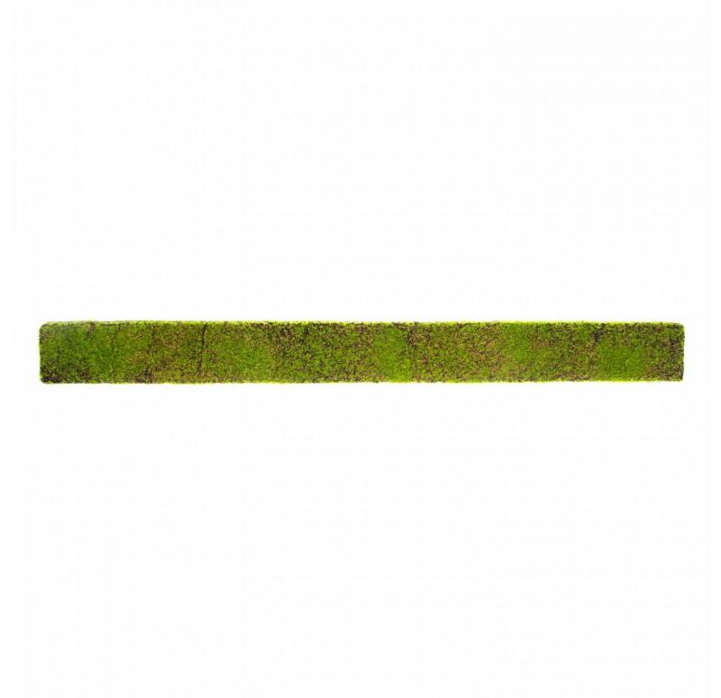 Green Wall, 'New Moss', Strip by Gold Leaf Design Group | Green Wall | Modishstore - 6