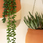 Color-dipped clay wall pocket planters with wire hangers Set Of 3 By Kalalou-2