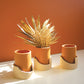 Natural Clay Cylinder Pots In Speckled Geometic Trays Set Of 3 By Kalalou | Planters, Troughs & Cachepots | Modishstore