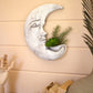 Clay Moon Wall Planter By Kalalou | Planters, Troughs & Cachepots | Modishstore