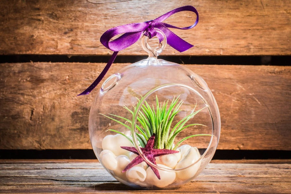 Hanging Glass Orb Terrarium/ Candle Holder Set(12Pcs) by Artisan Living Candle Holders, Artisan Living, - Modish Store-11