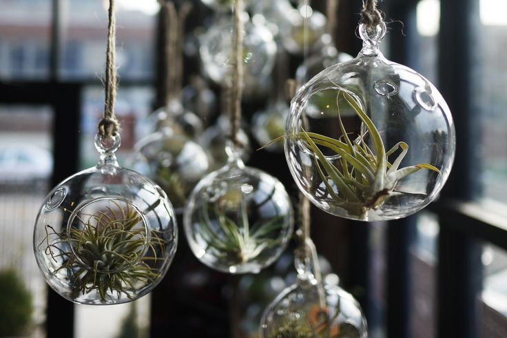 Hanging Glass Orb Terrarium/ Candle Holder Set(12Pcs) by Artisan Living Candle Holders, Artisan Living, - Modish Store | ModishStore | Candle Holders