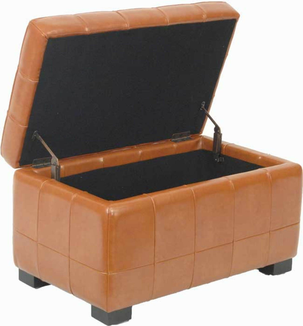 Safavieh Small Manhattan Storage Bench | Benches | Modishstore - 36