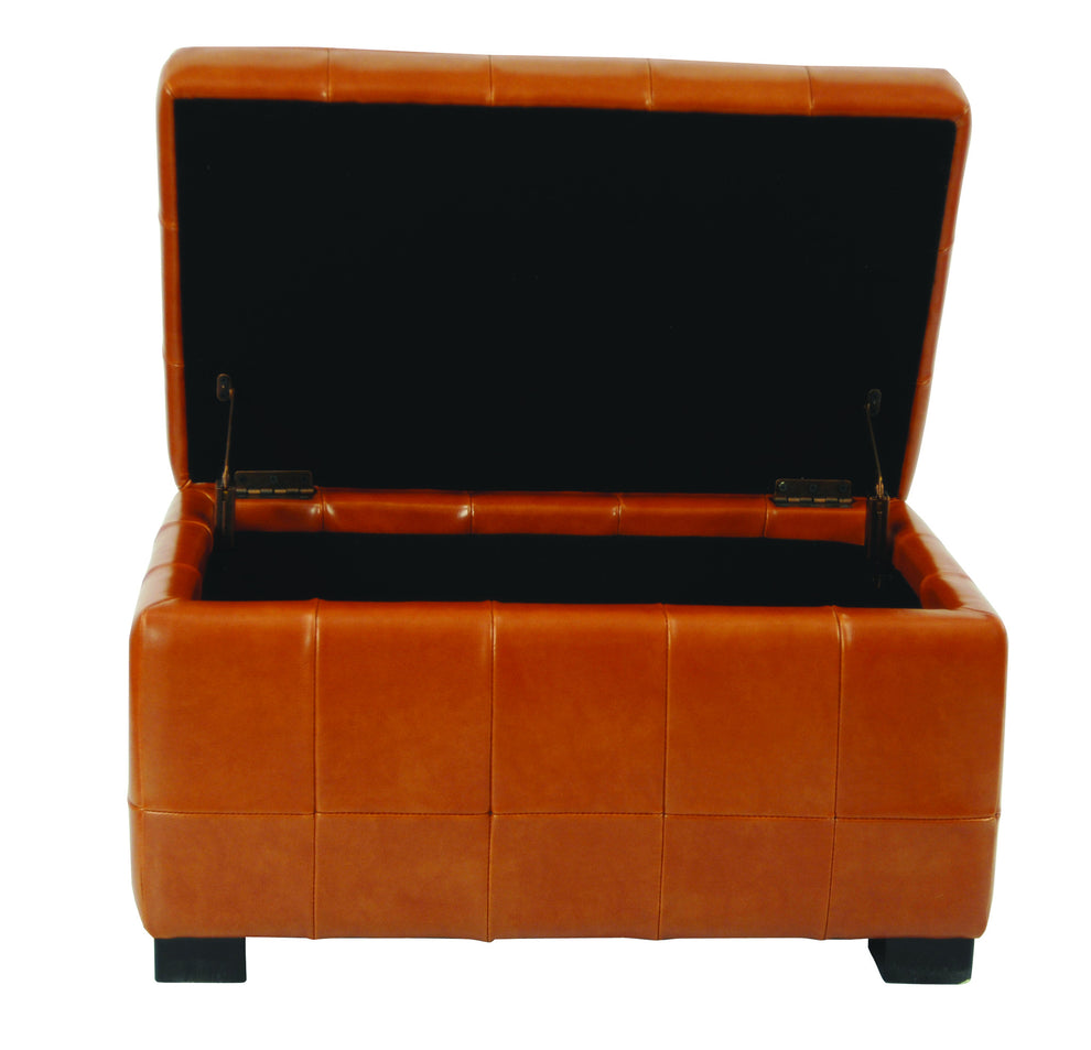 Safavieh Small Manhattan Storage Bench | Benches | Modishstore - 38