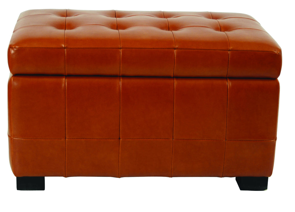 Safavieh Small Manhattan Storage Bench | Benches | Modishstore - 39