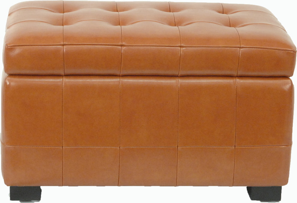 Safavieh Small Manhattan Storage Bench | Benches | Modishstore - 40