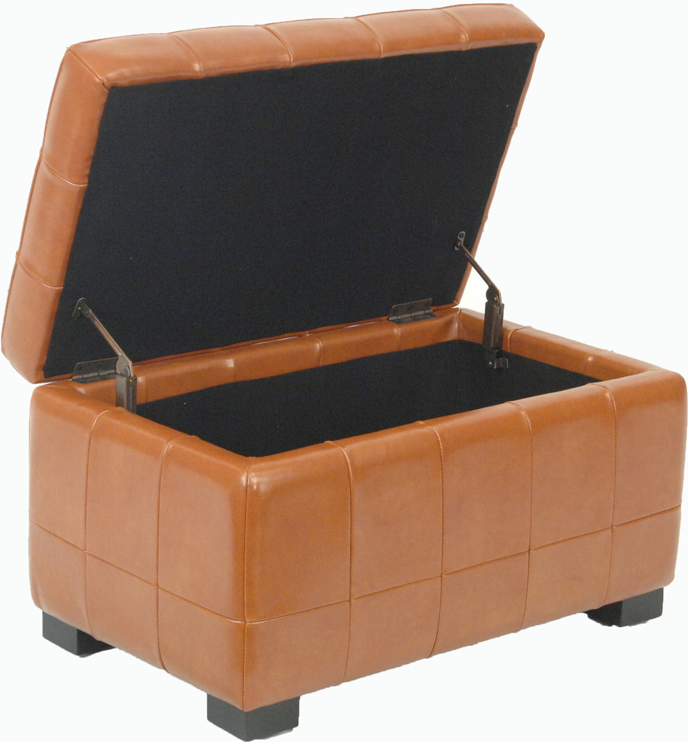 Safavieh Small Manhattan Storage Bench | Benches | Modishstore - 33