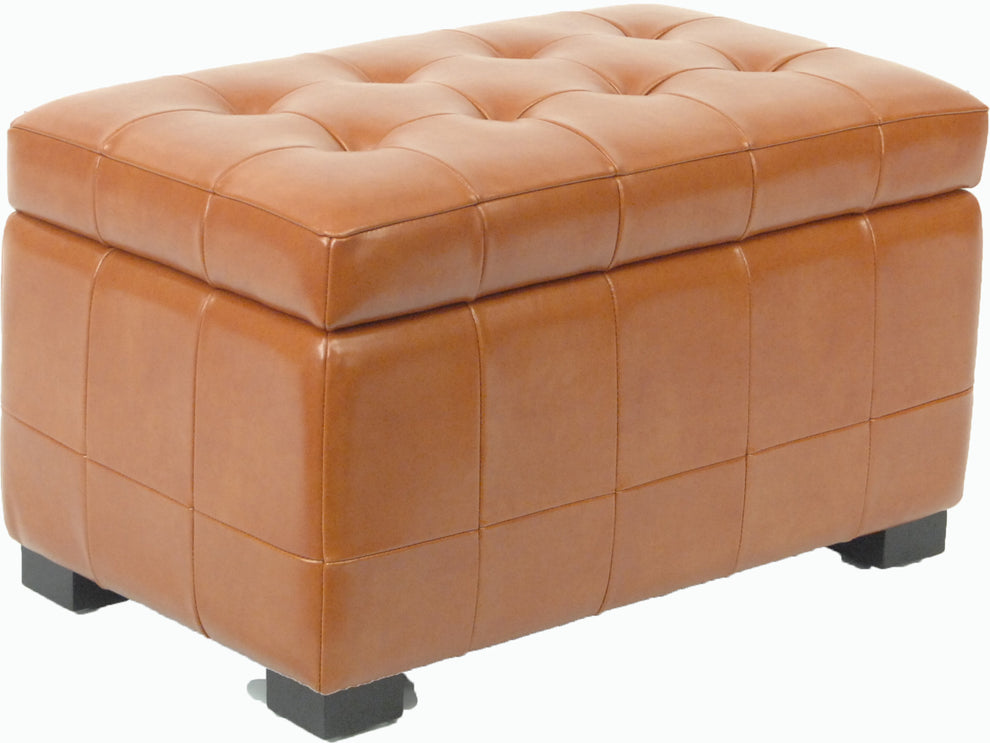 Safavieh Small Manhattan Storage Bench | Benches | Modishstore - 34