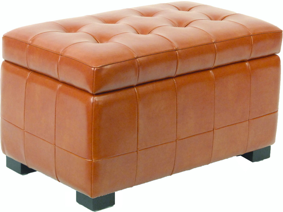Safavieh Small Manhattan Storage Bench | Benches | Modishstore - 35