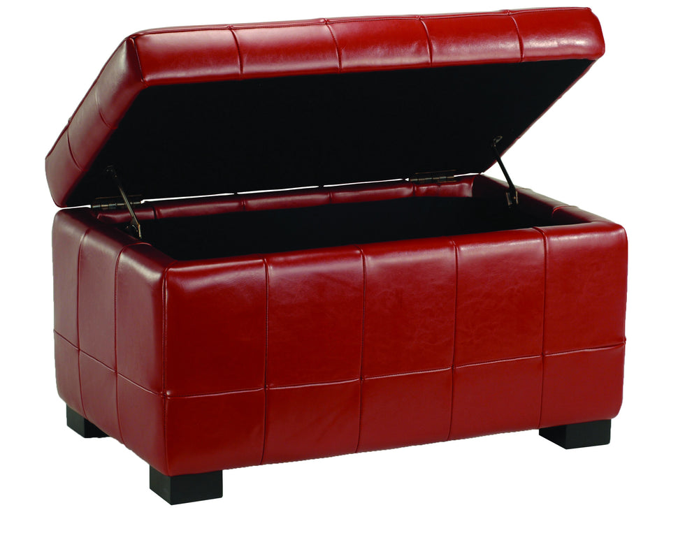 Safavieh Small Manhattan Storage Bench | Benches | Modishstore - 48