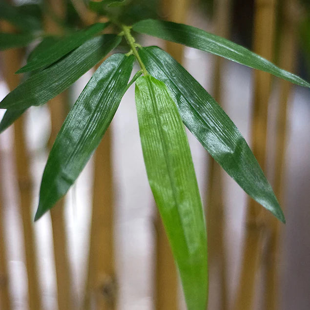 Bamboo Tree in Kawa Planter, Black By Gold Leaf Design Group | Planters, Troughs & Cachepots | Modishstore - 4
