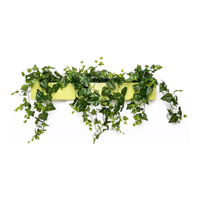 Ivy Planter For Partition Wall By Gold Leaf Design Group | Planters, Troughs & Cachepots | Modishstore