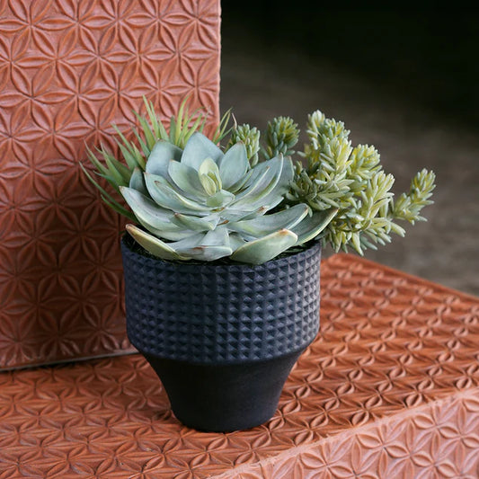 Nama Succulent Mix w/Grapto By Gold Leaf Design Group | Planters, Troughs & Cachepots | Modishstore