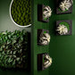 Mini Green Wall, Xerographica By Gold Leaf Design Group | Green Wall | Modishstore