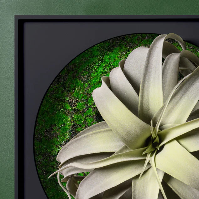 Mini Green Wall, Xerographica By Gold Leaf Design Group | Green Wall | Modishstore - 6