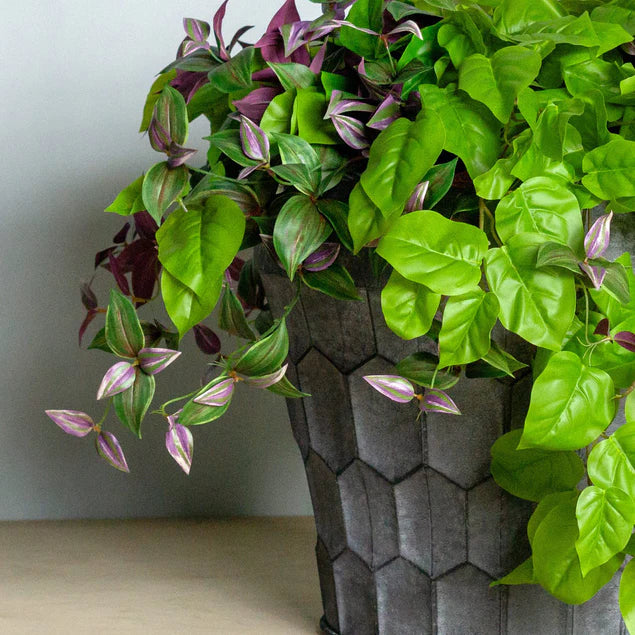 Wandering Dude & Philodendron By Gold Leaf Design Group | Planters, Troughs & Cachepots | Modishstore - 2