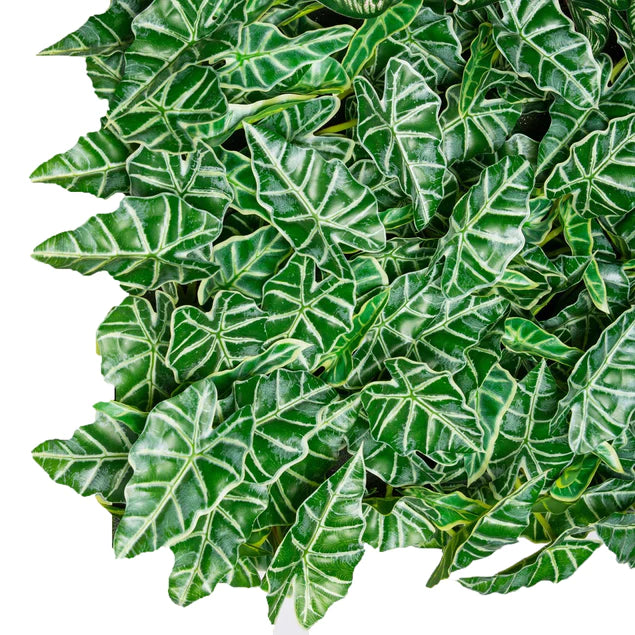 Green Wall, Outdoor Tropical, By Gold Leaf Design Group | Green Wall | Modishstore - 5