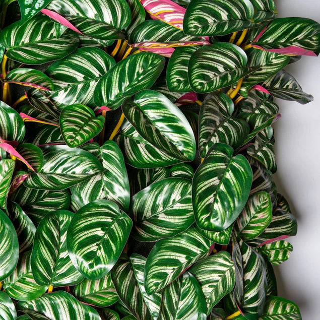 Green Wall, Outdoor Tropical, By Gold Leaf Design Group | Green Wall | Modishstore - 2