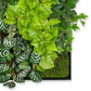 Green Wall, Pothos Mix By Gold Leaf Design Group | Green Wall | Modishstore - 3