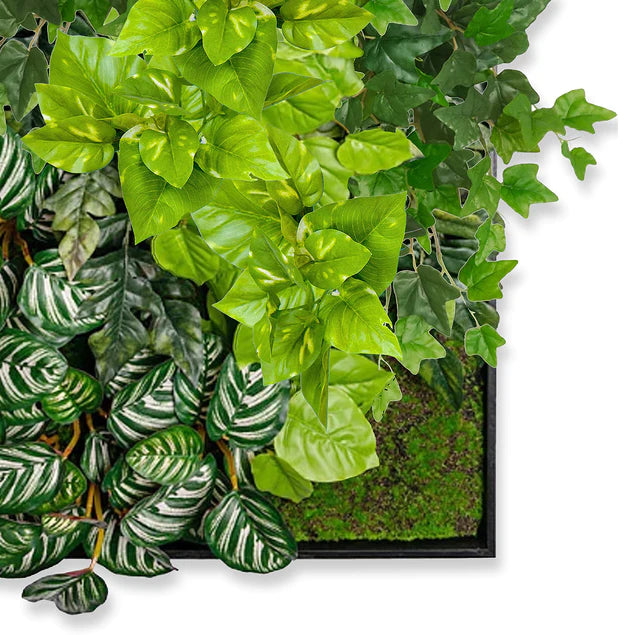 pothos wall design Green Wall, Pothos Mix By Gold Leaf Design Group – Modish Store