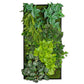 Green Wall, Pothos Mix By Gold Leaf Design Group | Green Wall | Modishstore