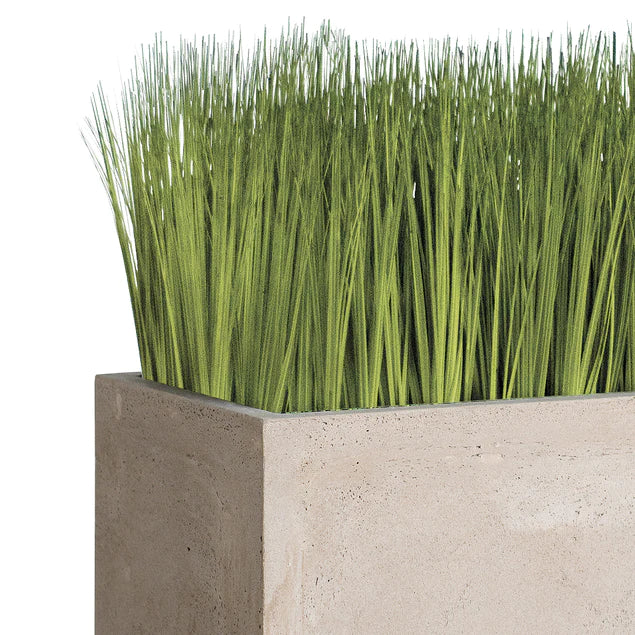 Grass: Japanese Grass In Urbano Rectangle Planter, Lg By Gold Leaf Design Group | Planters, Troughs & Cachepots |  Modishstore - 2