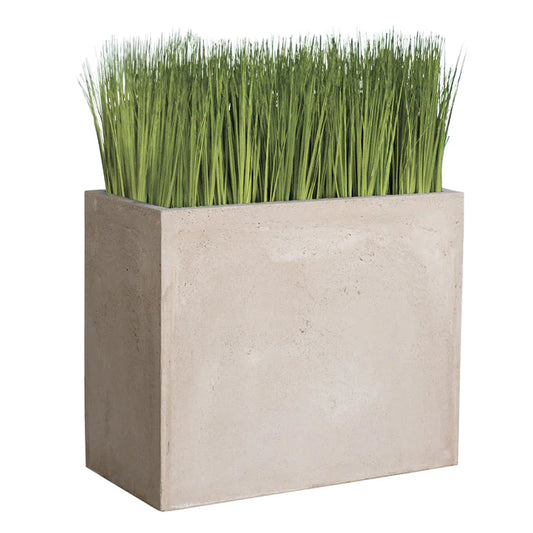 Grass: Japanese Grass In Urbano Rectangle Planter, Lg By Gold Leaf Design Group | Planters, Troughs & Cachepots |  Modishstore