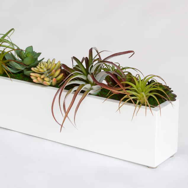 Desert Garden 2 By Gold Leaf Design Group | Planters, Troughs & Cachepots | Modishstore - 5