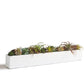 Desert Garden 2 By Gold Leaf Design Group | Planters, Troughs & Cachepots | Modishstore - 2