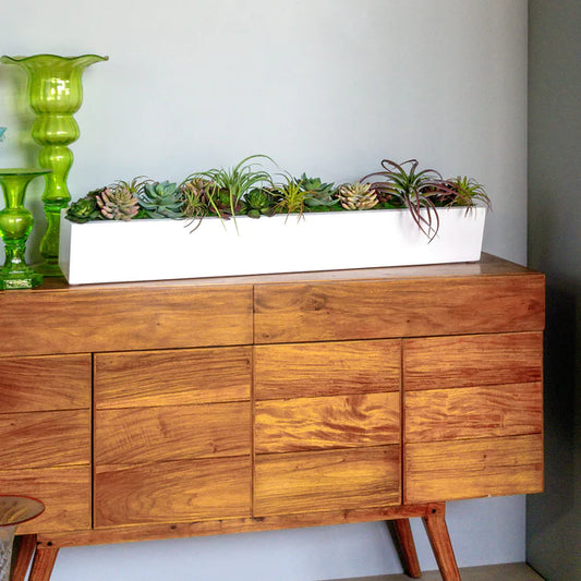 Desert Garden 2 By Gold Leaf Design Group | Planters, Troughs & Cachepots | Modishstore