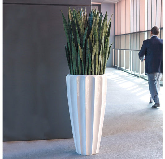 Gold Leaf Design Group Sansevieria In Pia Planter | Artificial Flora | Modishstore