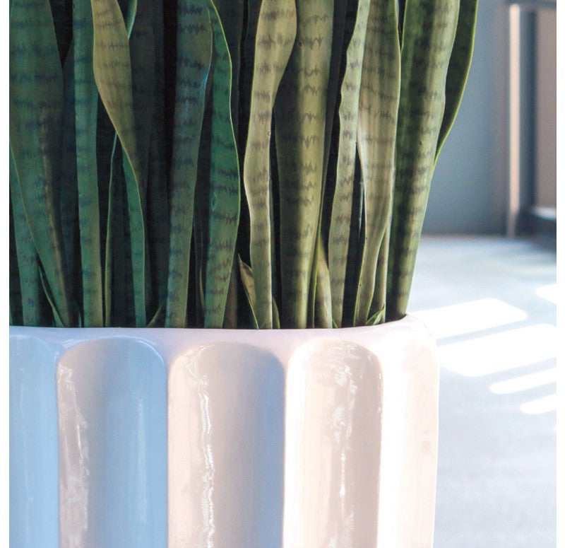 Gold Leaf Design Group Sansevieria In Pia Planter | Artificial Flora | Modishstore - 2