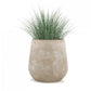 Gold Leaf Design Group Bear Grass In Urbano Bell Fiber Clay Planter | Planters, Troughs & Cachepots | Modishstore - 3