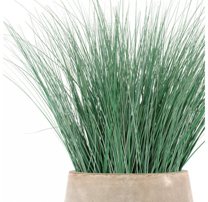 Gold Leaf Design Group Bear Grass In Urbano Bell Fiber Clay Planter | Planters, Troughs & Cachepots | Modishstore - 5