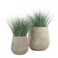 Gold Leaf Design Group Bear Grass In Urbano Bell Fiber Clay Planter | Planters, Troughs & Cachepots | Modishstore