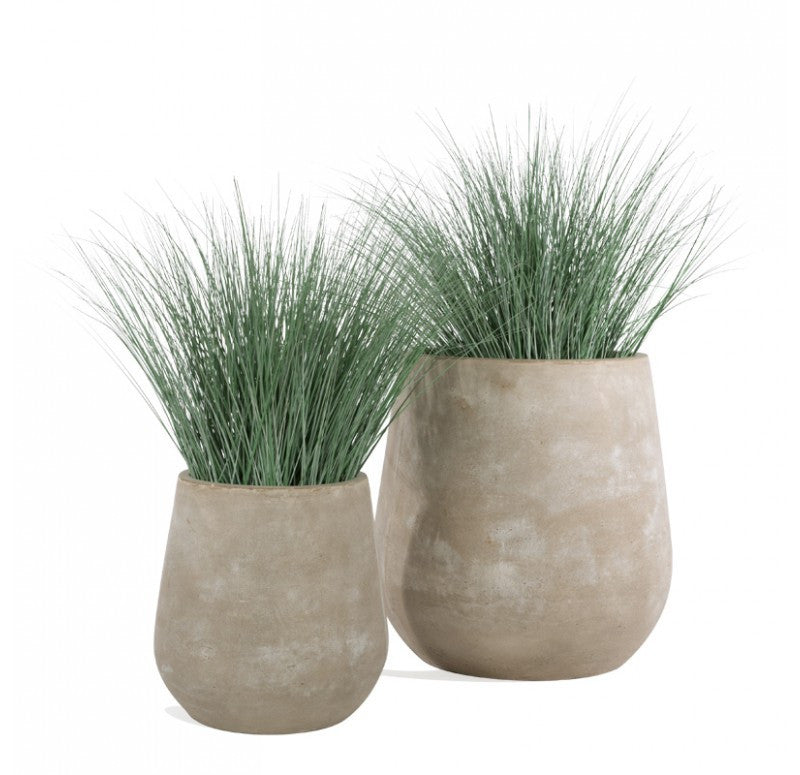 Gold Leaf Design Group Bear Grass In Urbano Bell Fiber Clay Planter | Planters, Troughs & Cachepots | Modishstore - 2