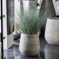 Gold Leaf Design Group Bear Grass In Urbano Bell Fiber Clay Planter | Planters, Troughs & Cachepots | Modishstore-5
