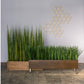 Grass: Liriope in Linear Planter with Legs - Gold Leaf Design Group | Planters, Troughs & Cachepots | Modishstore - 2