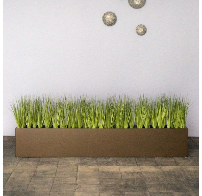 Gold Leaf Design Group Short Japanese Grass In Custom Rectangle Planter | Botanicals | Modishstore
