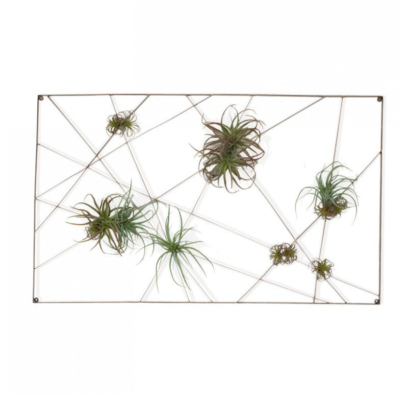 Gold Leaf Design Group Intersect Wall Art With Tillandsia Mix | Wall Decor | Modishstore-2