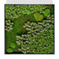 Green Wall, "Essex Mix 1" By Gold Leaf Design Group | Green Wall |  Modishstore - 7