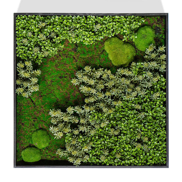 Green Wall, "Essex Mix 1" By Gold Leaf Design Group | Green Wall | Modishstore - 7