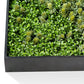 Green Wall, "Essex Mix 1" By Gold Leaf Design Group | Green Wall |  Modishstore - 8