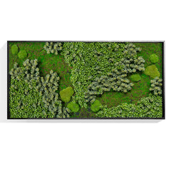 Green Wall, 'Essex Mix 2', Bla By Gold Leaf Design Group