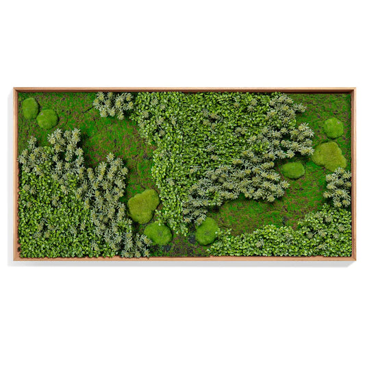 Green Wall, 'Essex Mix 2', Nat By Gold Leaf Design Group | Green Wall |  Modishstore