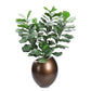 Fiddle Leaf in 29"H Sherry Pla By Gold Leaf Design Group | Planters, Troughs & Cachepots | Modishstore