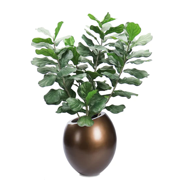 Fiddle Leaf in 29"H Sherry Pla By Gold Leaf Design Group | Planters, Troughs & Cachepots | Modishstore