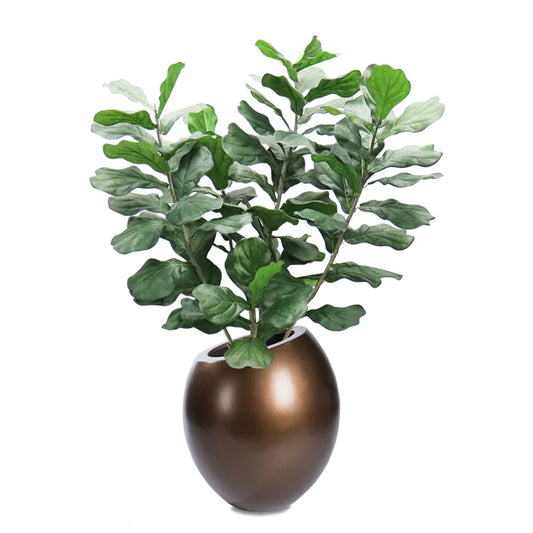 Fiddle Leaf in 29"H Sherry Pla By Gold Leaf Design Group | Planters, Troughs & Cachepots | Modishstore