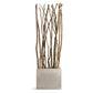 Alder Poles In Urbano Rectangle Planter, Sml By Gold Leaf Design Group | Planters, Troughs & Cachepots |  Modishstore